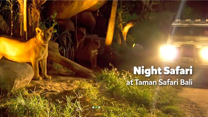 Vacation Bali Safari - The Night Safari Package Vacanator - Bali Safari - The Night Safari Package