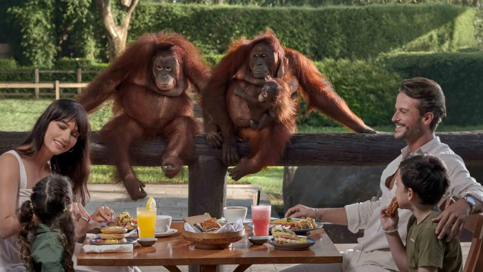 Vacation Bali Zoo - Breakfast With Orangutan Vacanator - Bali Zoo - Breakfast With Orangutan