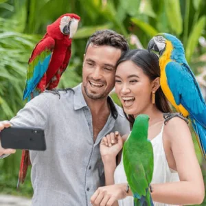 Bali Bird Park