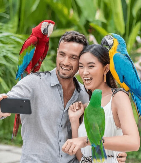 Bali Bird Park