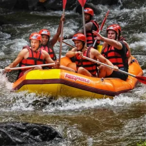 Private Ayung White River Rafting