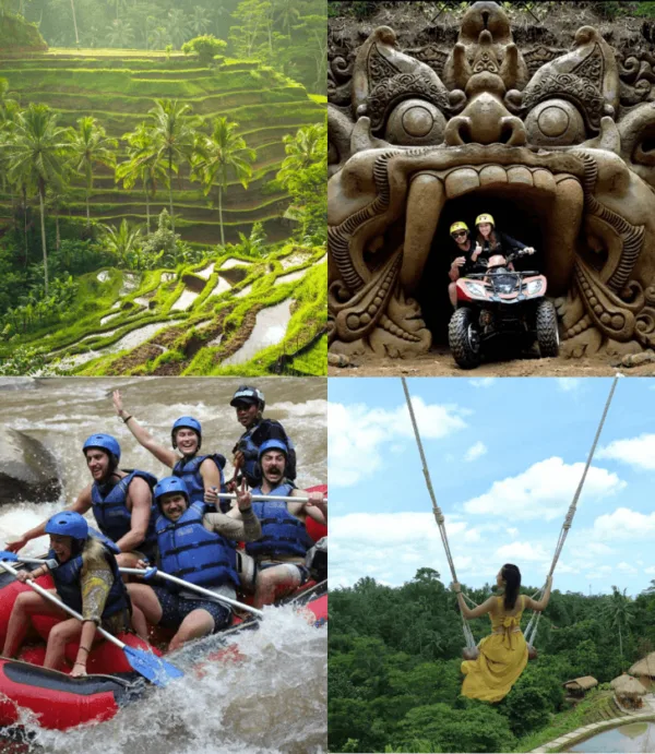 Ubud Combo Activities and Experience